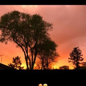 Meet your Posher, Cierra